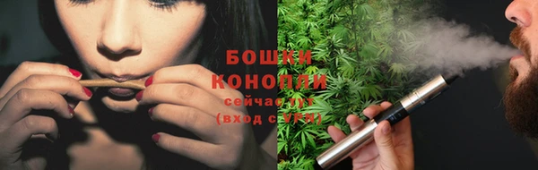 мяу мяу мука Магас